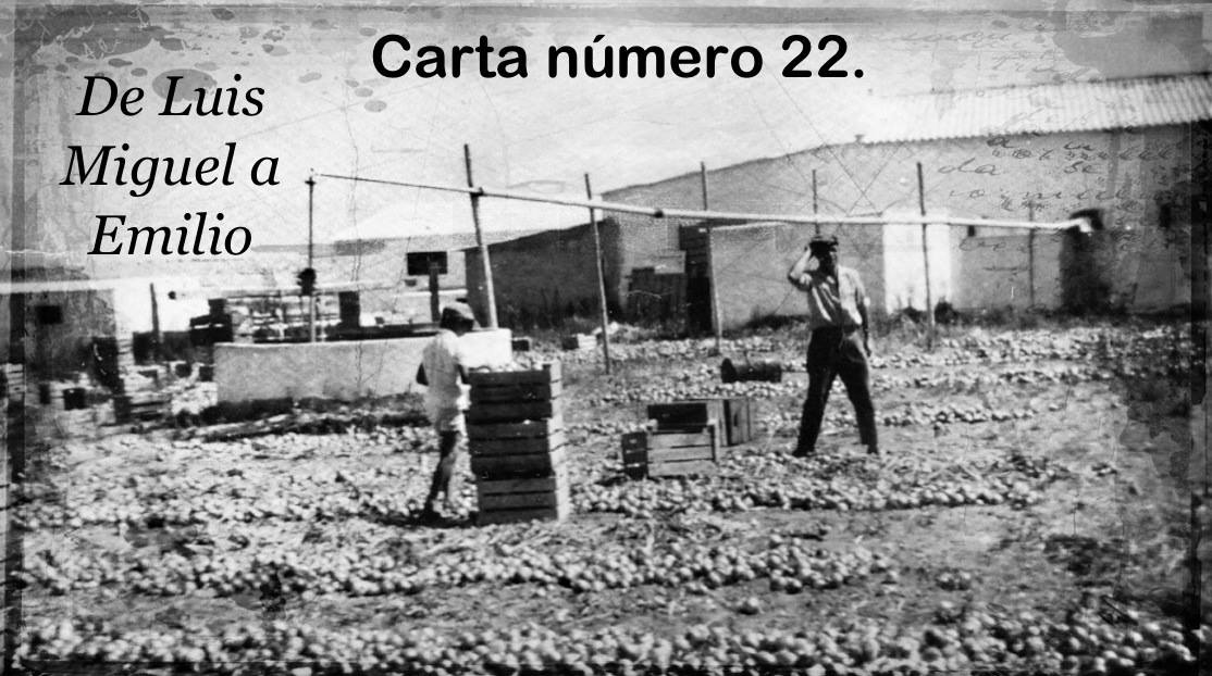 Imagen Carta 22